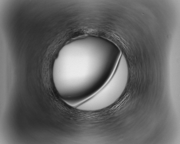X0000096171345200801180822