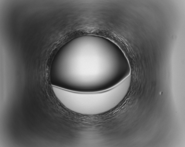 X0000096171349200801180822
