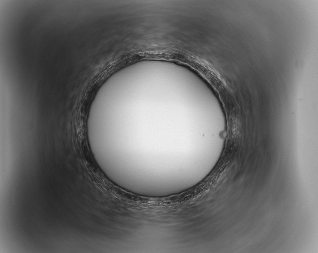 X0000096171350200801180822