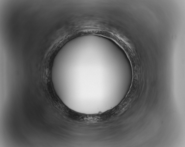 X0000096171351200801180822