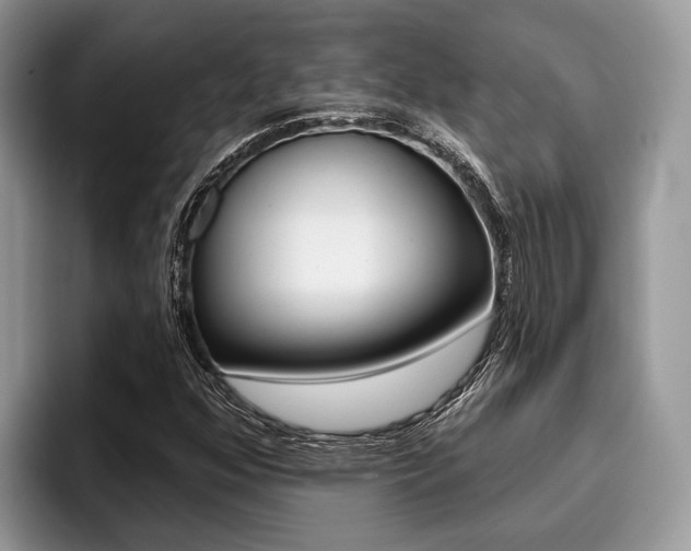X0000096171352200801180822
