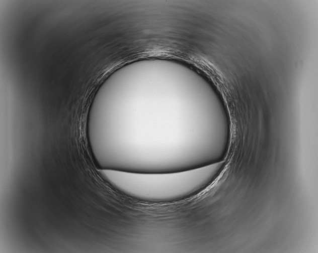 X0000096171353200801180822