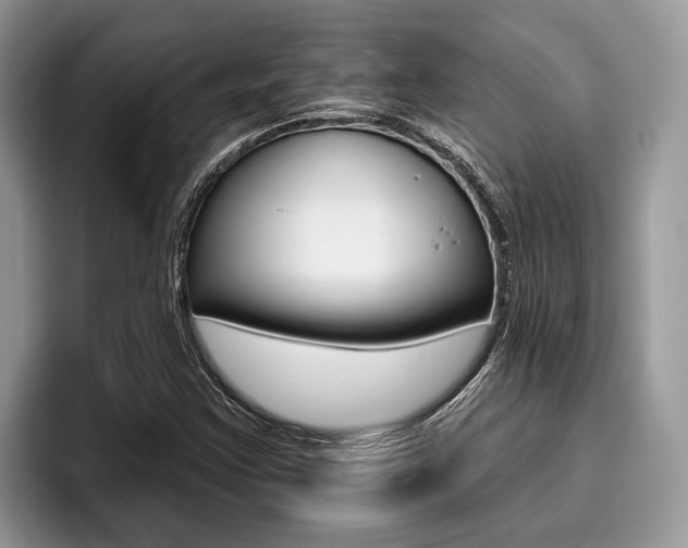 X0000096171355200801180822