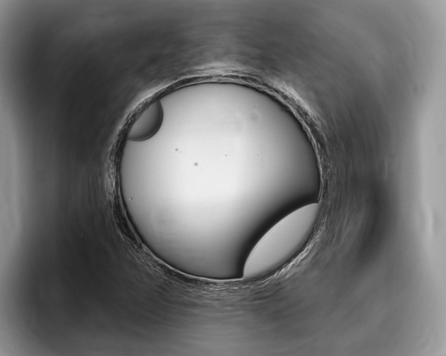 X0000096171358200801180821