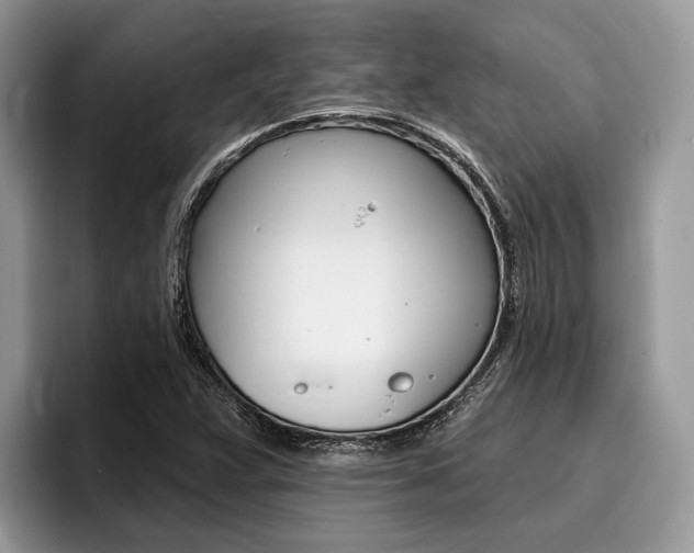 X0000096171359200801180821