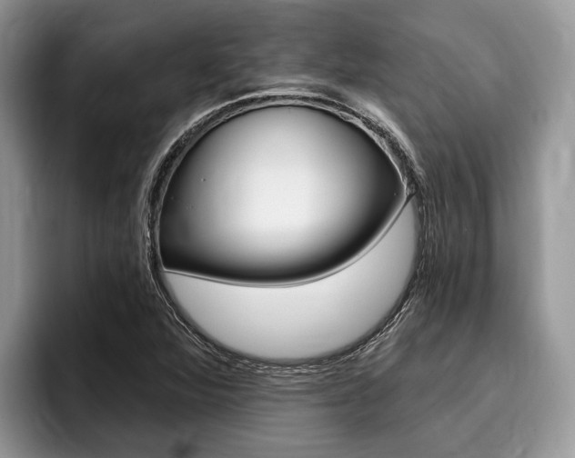 X0000096171360200801180821