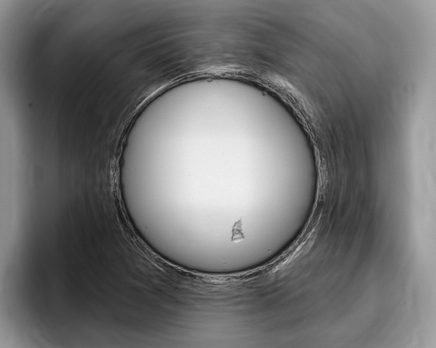 X0000096171361200801180821