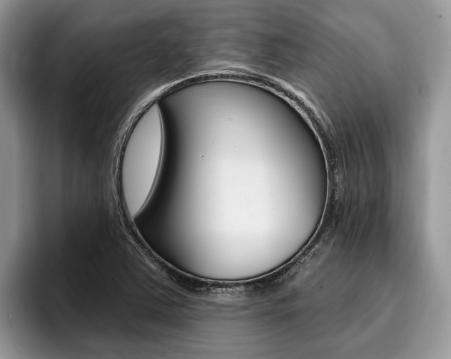 X0000096171363200801180821