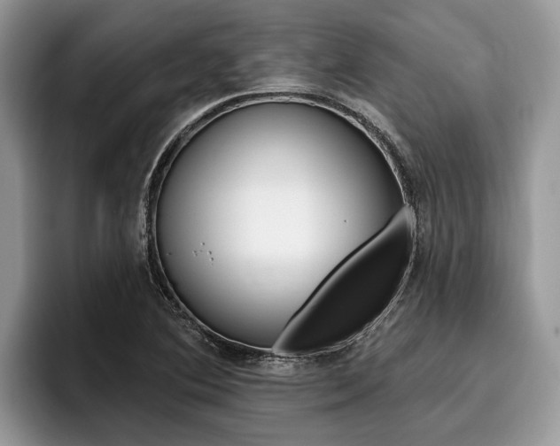 X0000096171364200801180821