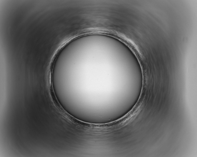 X0000096171365200801180821