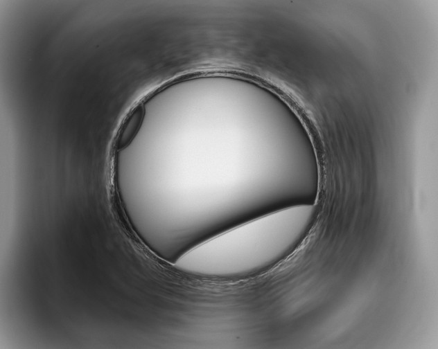 X0000096171366200801180821