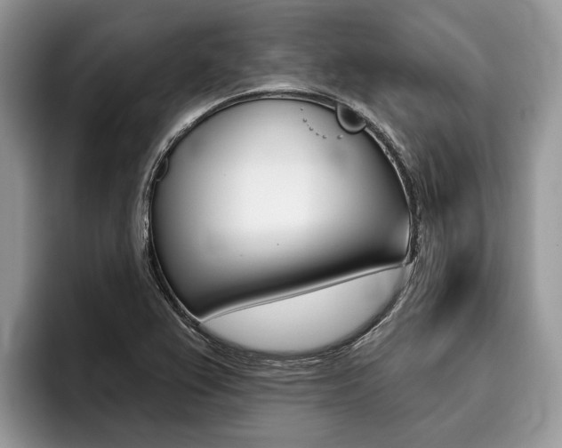 X0000096171367200801180821