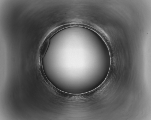 X0000096171368200801180821