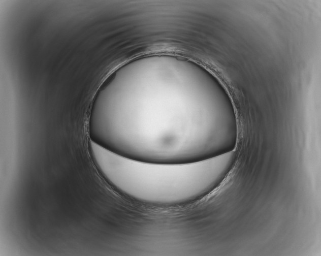 X0000096171369200801180821
