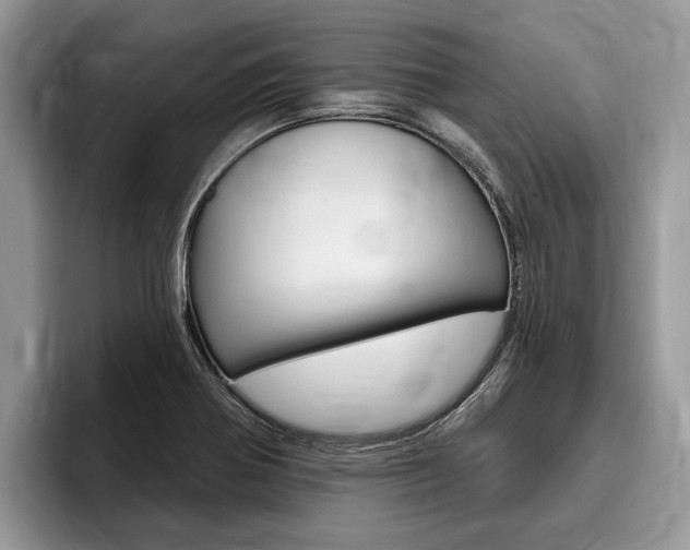 X0000096171370200801180821