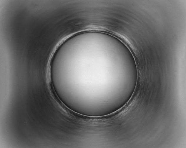 X0000096171371200801180821