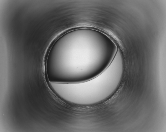 X0000096171372200801180821
