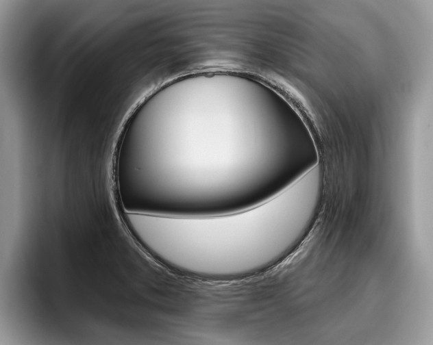 X0000096171373200801180821