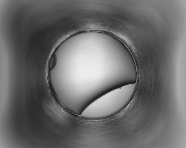 X0000096171374200801180821
