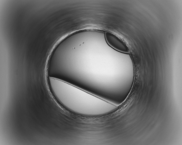 X0000096171375200801180821