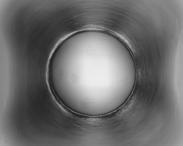 X0000096171379200801180821