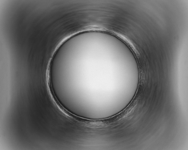X0000096171383200801180821