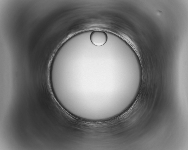 X0000096171384200801180821