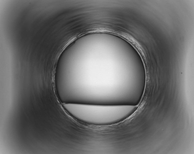 X0000096171385200801180821