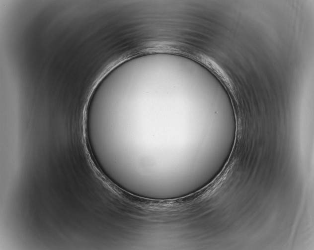 X0000096171386200801180821