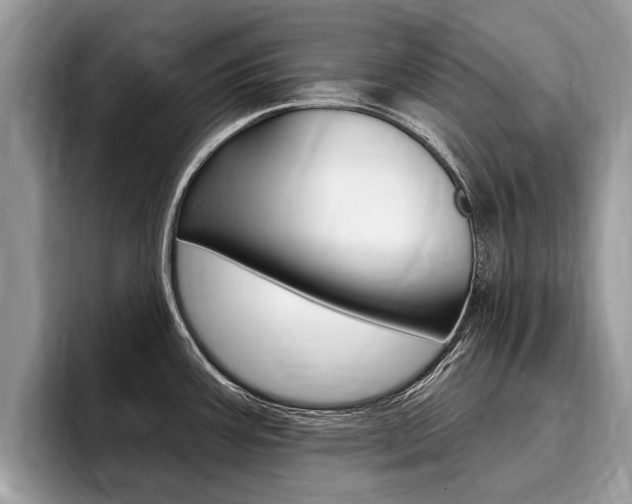 X0000096171387200801180821