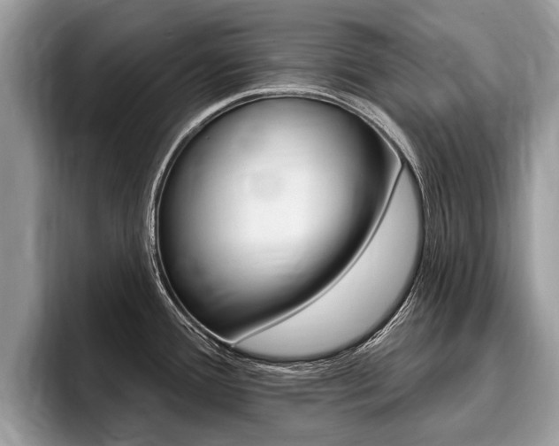 X0000096171388200801180821