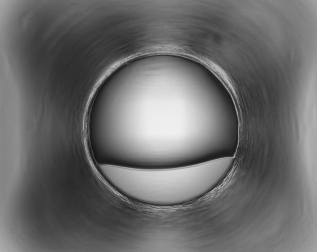X0000096171389200801180821