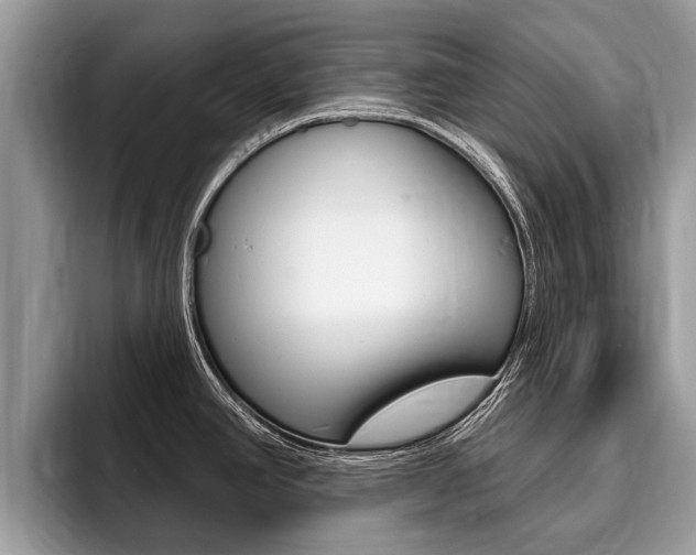 X0000096171390200801180821