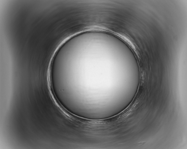 X0000096171391200801180821