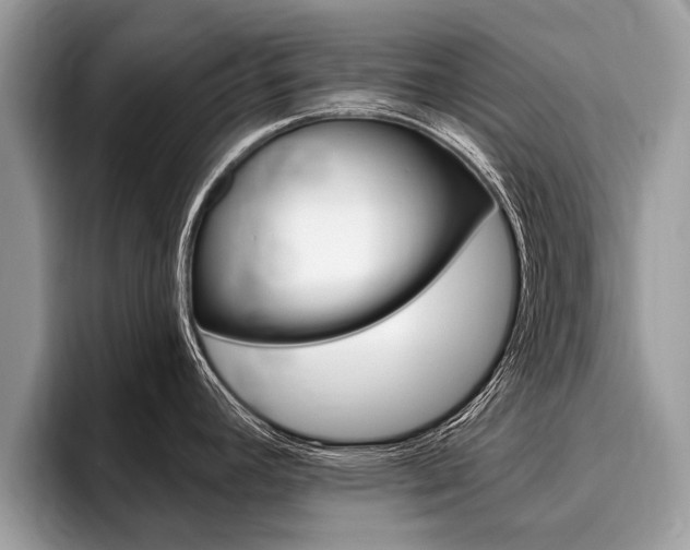 X0000096171392200801180821