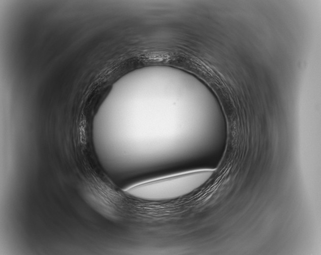 X0000096171394200801180820