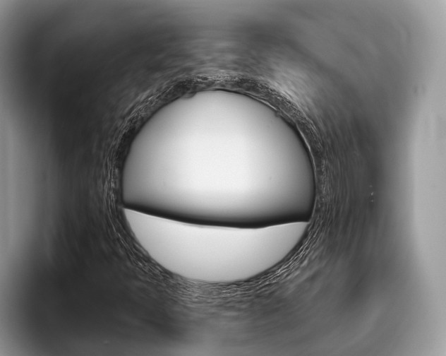 X0000096171397200801180820