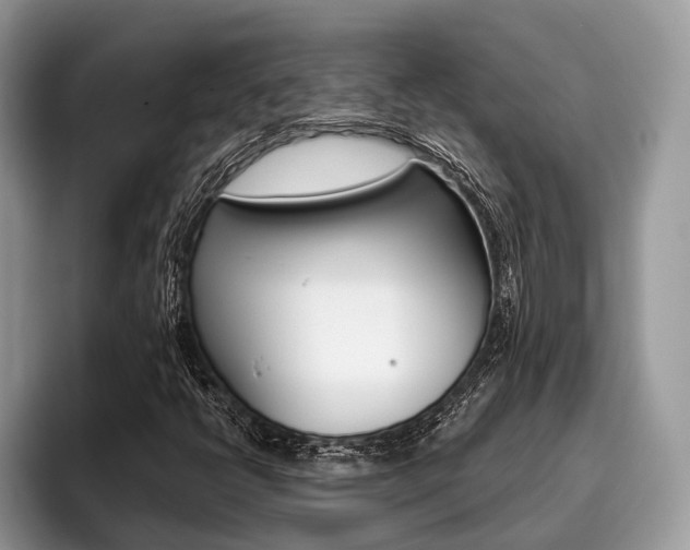 X0000096171398200801180820