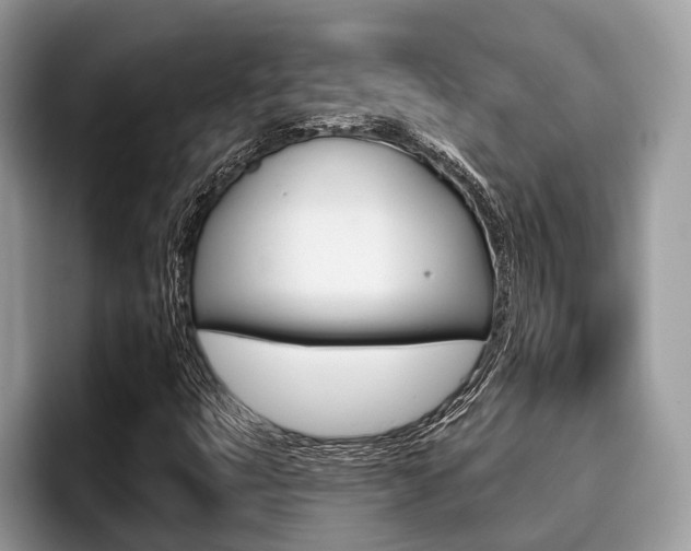 X0000096171399200801180820