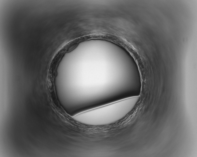 X0000096171400200801180821