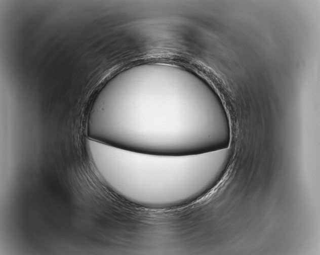 X0000096171401200801180821