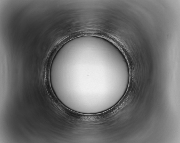 X0000096171402200801180821