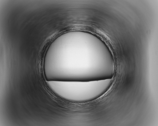 X0000096171403200801180821