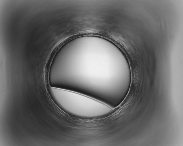 X0000096171404200801180821