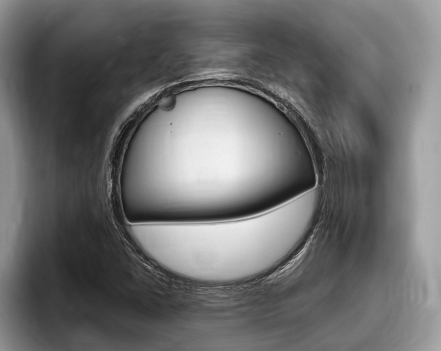 X0000096171406200801180821