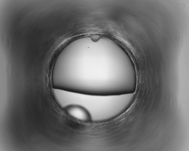 X0000096171407200801180821