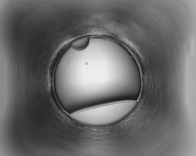 X0000096171408200801180821