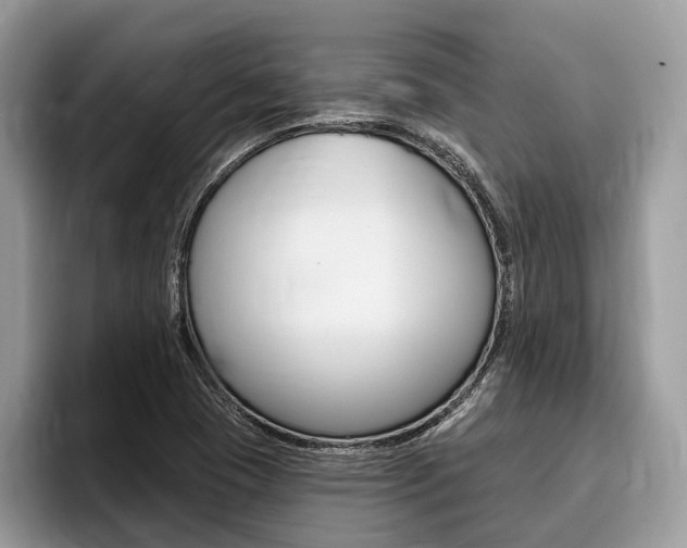 X0000096171409200801180821