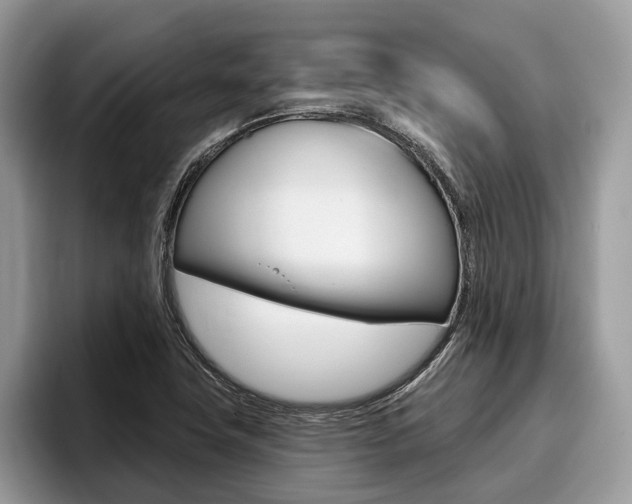 X0000096171411200801180821
