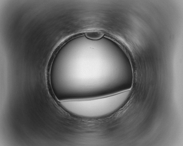 X0000096171412200801180821